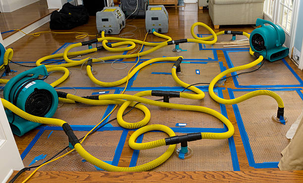 Professional Emergency Water Removal technician working in Trempealeau, WI